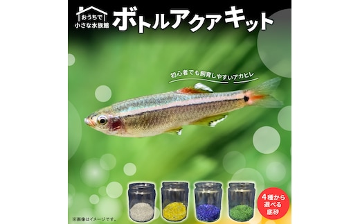おうちで小さな水族館♪ ボトルアクア キット_BA6002n