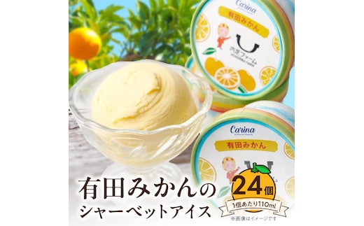 有田みかんシャーベットアイス 24個入り_ZE6528