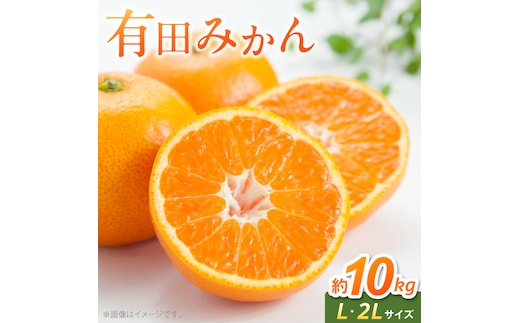 《2026年11月中旬～2027年1月中旬頃に順次発送予定》【2026年先行予約】有田みかん L,2Lサイズ混合 約10kg_BF6069