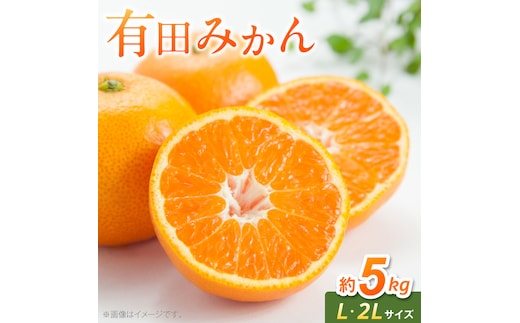 《2026年11月中旬～2027年1月中旬頃に順次発送予定》【2026年先行予約】有田みかん L,2Lサイズ混合 約5kg_BF6070