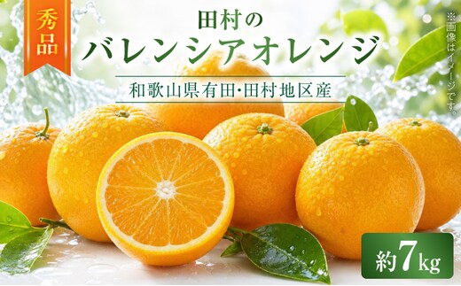 【2027年先行予約】秀品 田村のバレンシアオレンジ 約7kg_G7376