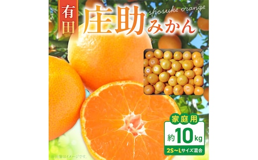《2026年10月末～2027年1月中旬頃に順次発送》【2026年先行予約】庄助みかん (家庭用・サイズ混合) 約10kg_BK6022