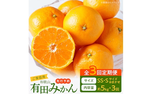 【3回定期便】【2026年先行予約】【ご家庭用】旨味凝縮有田みかん 約5kg（SS・Sサイズ）【湯浅町】_AT60-T01