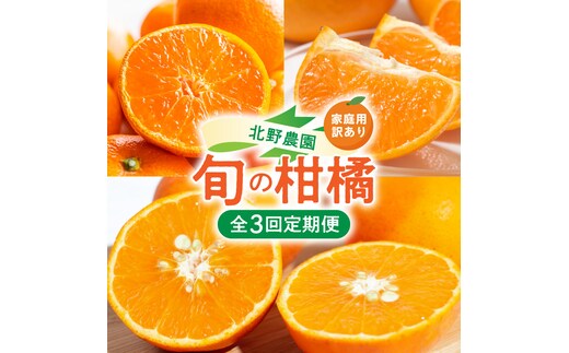 北野農園の旬の柑橘定期便（訳あり・家庭用）【全3回】_DZ60-T01