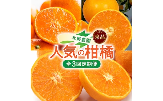 北野農園の人気の柑橘定期便（秀品）【全3回】_DZ60-T02