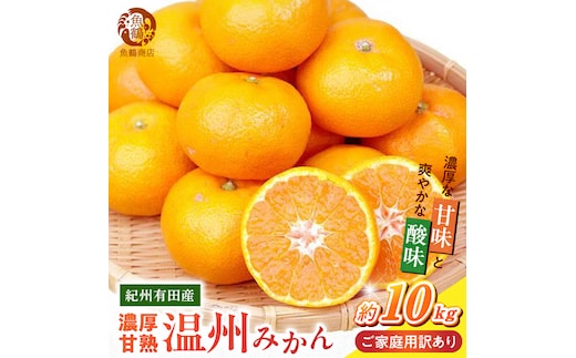 【2026年先行予約】紀州 有田産 濃厚甘熟 温州みかん 約10kg 【家庭用 訳あり】 _G7379