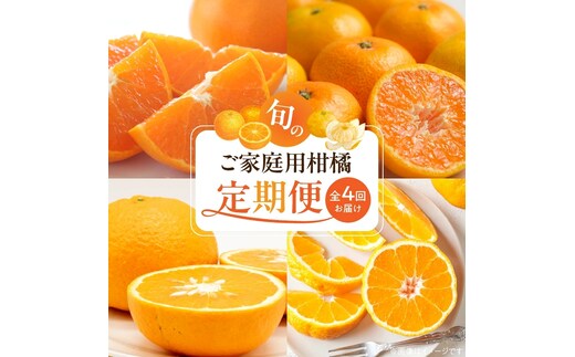 【発送月固定定期便】紀州和歌山産旬のご家庭用柑橘セット(みかん・不知火・せとか・清見)全4回 _G70-T01