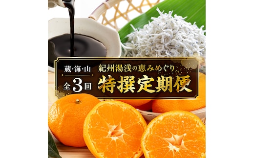 紀州湯浅の恵みめぐり 蔵・海・山の特撰定期便（全3回） _YAS60-T04
