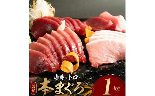 本マグロ（養殖）赤身＆トロセット 1kg_AZ6026