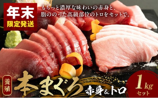 【年末配送】本マグロ（養殖）赤身＆トロセット 1kg_AZ6026_nm