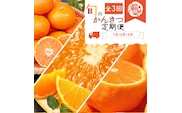 G60-T44_【定期便 全3回】紀州和歌山産旬の柑橘セット（みかん・紀州デコ・清見）