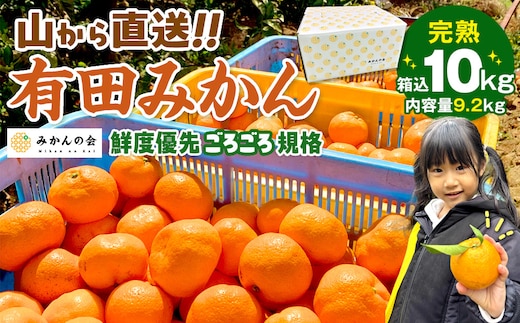 みかん 山から直送 箱込 10kg ( 内容量約 9.2kg ) 鮮度優先ごろごろ規格 和歌山県産 産地直送 家庭用［2025年11月中旬より順次出荷予定］［みかんの会］