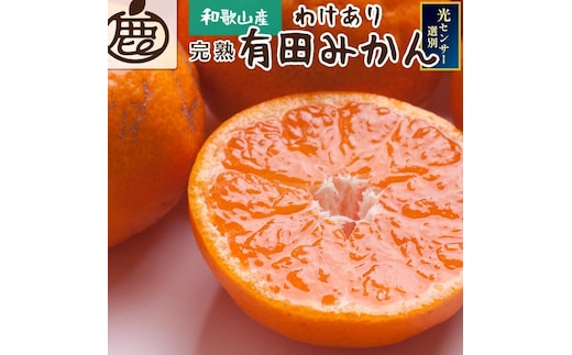 家庭用 完熟有田みかん5kg+250g（傷み補償分）