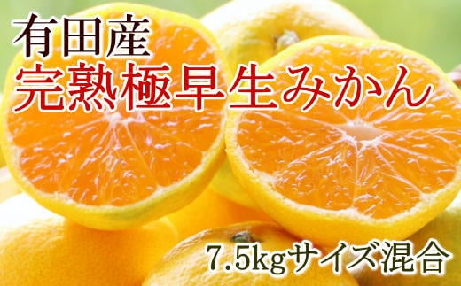 ［厳選］紀州有田の完熟極早生みかん約7.5kg(サイズ混合)★2026年10月下旬頃より順次発送