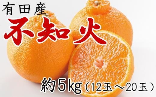 ［濃厚］有田の不知火約5kg（12～20玉）★2026年2月中旬頃より順次発送