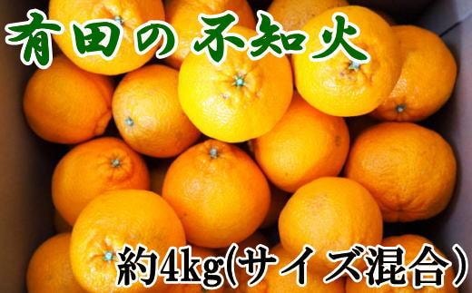 ［濃厚］有田産不知火約4kg（2L～5Lサイズ混合）★2026年2月中旬頃より順次発送