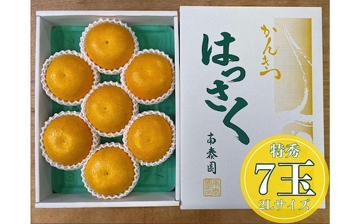 化粧箱 手詰め 有田 はっさく 特秀 大玉 2L サイズ × 7玉入 南泰園 みかん