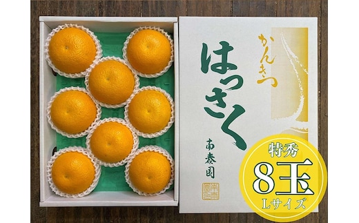 化粧箱 手詰め 有田 はっさく 特秀 L サイズ × 8玉入 南泰園 みかん