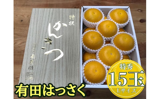 化粧箱 手詰め 有田 はっさく 特秀 L サイズ × 15玉入 2段詰 南泰園 みかん