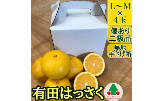 有田 はっさく L または M 4玉入 ちょっと 傷あり 手さげ箱 南泰園 みかん