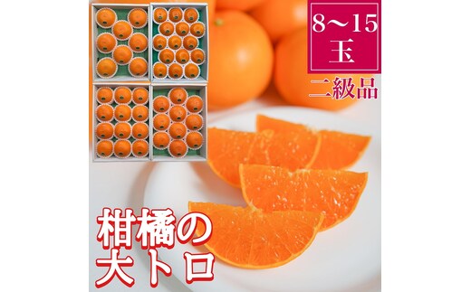 ちょっと 傷あり 柑橘の大トロ ハウス せとか 8 ～ 15玉入 化粧箱 南泰園