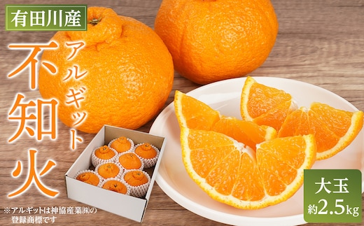 アルギット 不知火 約2.5kg 大玉 サイズ（8～9玉）| 先行予約 不知火 デコ みかん 甘い おいしい ジューシー 完熟 期間限定 数量限定 フルーツ 果物 柑橘 人気 おすすめ 高級 こだわり ギフト 旬 お取り寄せ 送料無料 和歌山 有田川町