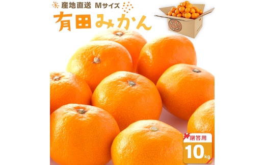 産地直送 贈答用 有田みかん Mサイズ 約10kg 喜楽farms 【2025年11月以降順次発送】