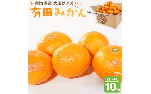 産地直送 有田みかん 大玉サイズ 2L～4L サイズ混合 約10kg 喜楽farms 【2025年12月以降順次発送】