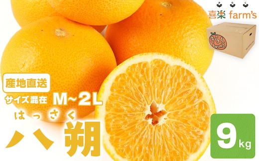 【産地直送】☆八朔☆サイズ混載（M～２L）☆9kg