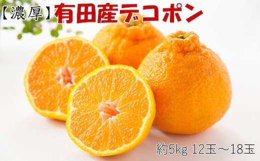 ［お味濃厚］紀州有田産の大玉デコポン約5kg(12玉～18玉入り・青秀以上) ★2026年１月中旬頃より順次発送［TM25w］