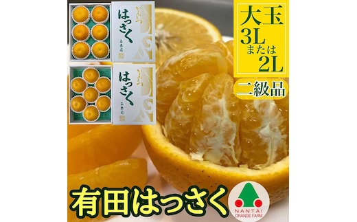 手詰め 有田 はっさく 大玉 3L × 6玉 または 2L × 7玉 ちょっと 傷あり 南泰園 みかん