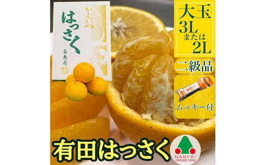 手詰め 有田 はっさく 大玉 3L × 6玉 または 2L × 7玉 ちょっと 傷あり ムッキー 同梱 南泰園 みかん
