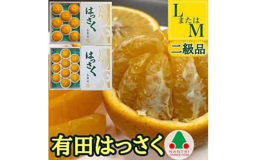 手詰め 有田 はっさく L × 8玉 または M × 10玉 サイズ ちょっと 傷あり 南泰園 みかん