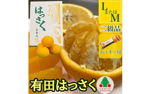 手詰め 有田 はっさく L × 8玉 または M × 10玉 サイズ ちょっと 傷あり ムッキー 同梱 南泰園 みかん