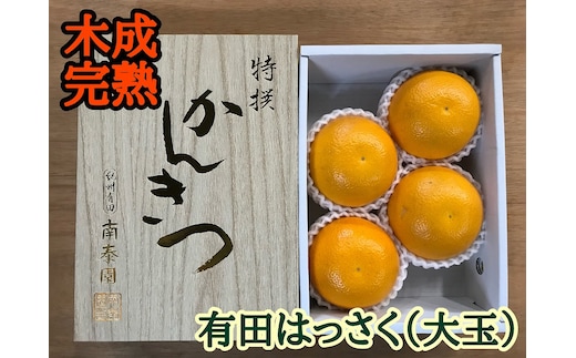 4月 まで 木成 完熟 させた 有田 はっさく 特秀 大玉 2L × 4玉 化粧小箱 南泰園 みかん