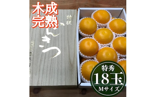 4月 まで 木成 完熟 させた 有田 はっさく 特秀 M × 18玉 2段詰 化粧箱 南泰園 みかん