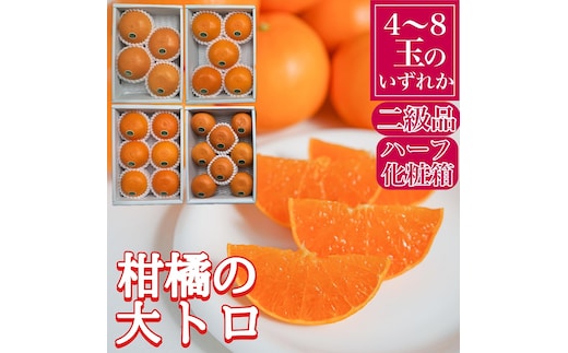 ちょっと 傷あり ハーフ 化粧箱 柑橘の大トロ ハウス せとか 4 ～ 8玉入 南泰園