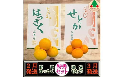定期便 貯蔵 はっさく ＆ ハウス せとか 全2回 南泰園 特秀 セット みかん