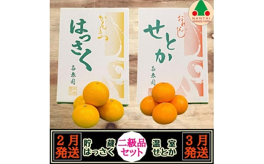 定期便 貯蔵 はっさく ＆ ハウス せとか 全2回 南泰園 二級品 セット みかん