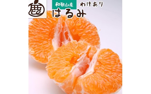 ［先行予約］家庭用 はるみ1kg+250g（傷み補償分）［デコポンの姉妹品種・新食感春みかん］［光センサー選別］［わけあり・訳あり］