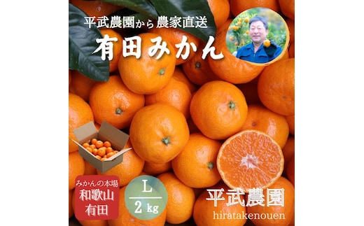 農家直送！有田みかん（2kg Lサイズ 秀品）平武農園 ～蛍飛ぶ町から旬の便り～