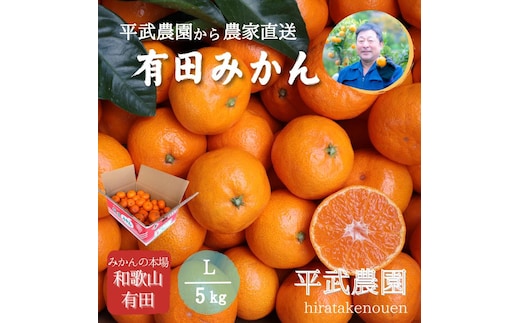 農家直送！有田みかん（5kg Lサイズ 秀品）平武農園 ～蛍飛ぶ町から旬の便り～