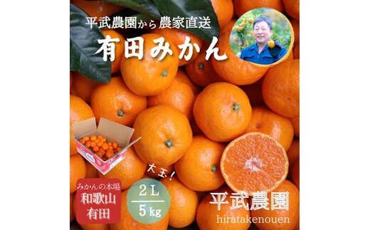 農家直送！有田みかん（5kg 2Lサイズ（大玉）秀品）平武農園 ～蛍飛ぶ町から旬の便り～