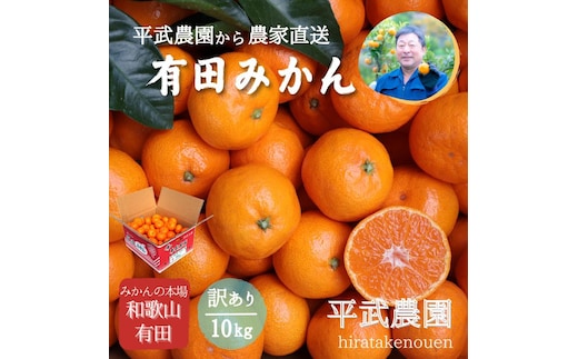 農家直送！有田みかん（10kg 訳あり≪サイズ混合≫）平武農園 ～蛍飛ぶ町から旬の便り～