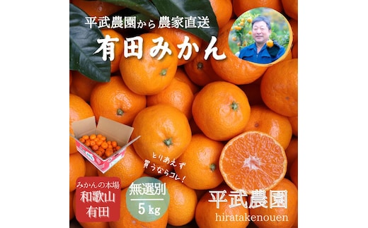 農家直送！有田みかん（5kg 無選別≪秀品･訳あり品･サイズ混合≫）平武農園 ～蛍飛ぶ町から旬の便り～