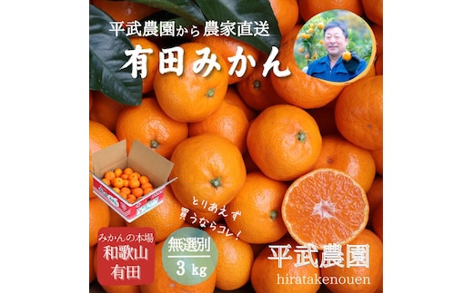 農家直送！有田みかん（3kg 無選別≪秀品･訳あり品･サイズ混合≫）平武農園 ～蛍飛ぶ町から旬の便り～