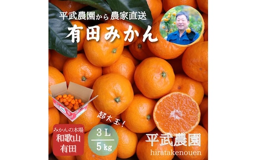 農家直送！有田みかん（5kg 3Lサイズ（超大玉）秀品）平武農園 ～蛍飛ぶ町から旬の便り～