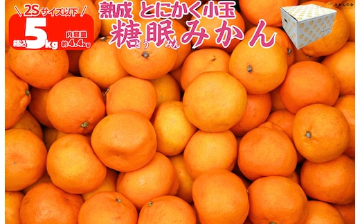 ［先行予約］熟成 みかん とにかく 小玉 箱込5kg ( 内容量 4.4kg ) 2Sサイズ以下 秀品 優品 混合 有田みかん 和歌山産 産地直送 家庭用 【みかんの会】