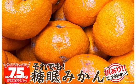 ［先行予約］訳あり それでも 熟成みかん 箱込7.5kg ( 内容量 6.8kg ) サイズミックス Ｂ品 有田みかん 和歌山県産 産地直送 家庭用 【みかんの会】