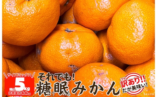 ［先行予約］訳あり それでも 熟成みかん 箱込5kg ( 内容量 4.4kg ) サイズミックス Ｂ品 有田みかん 和歌山県産 産地直送 家庭用 【みかんの会】